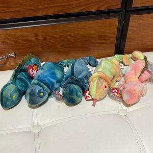 Iggy & Rainbow TY beanie babies lot